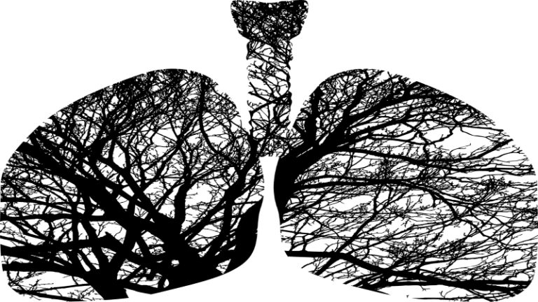 ריאות