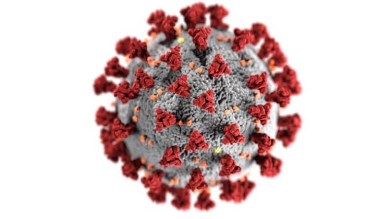virus 21