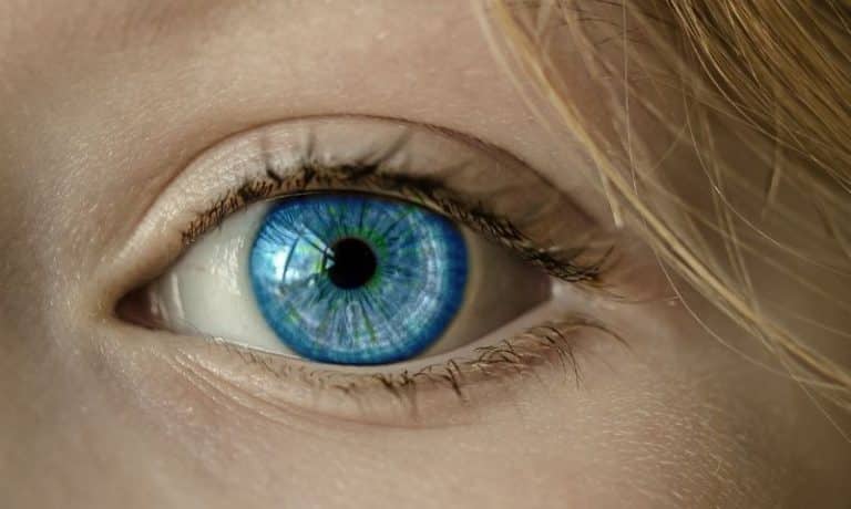 EYES 1.1