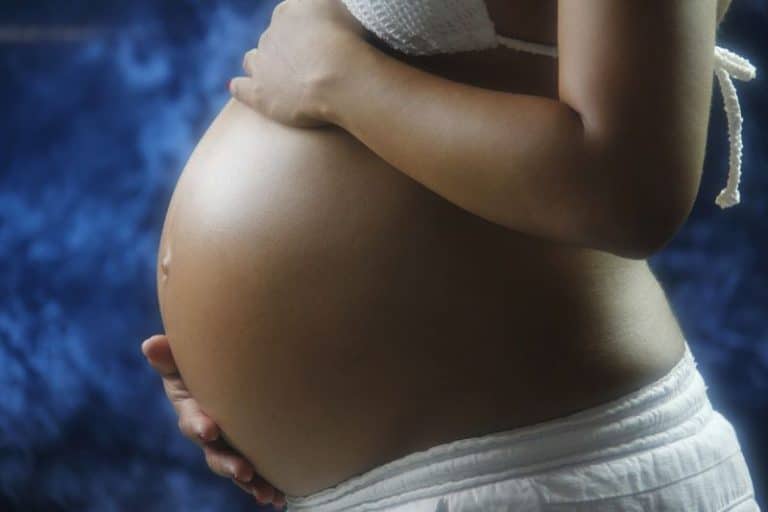 pregnancy8.1