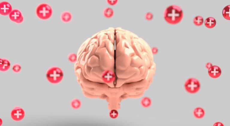BRAIN 18