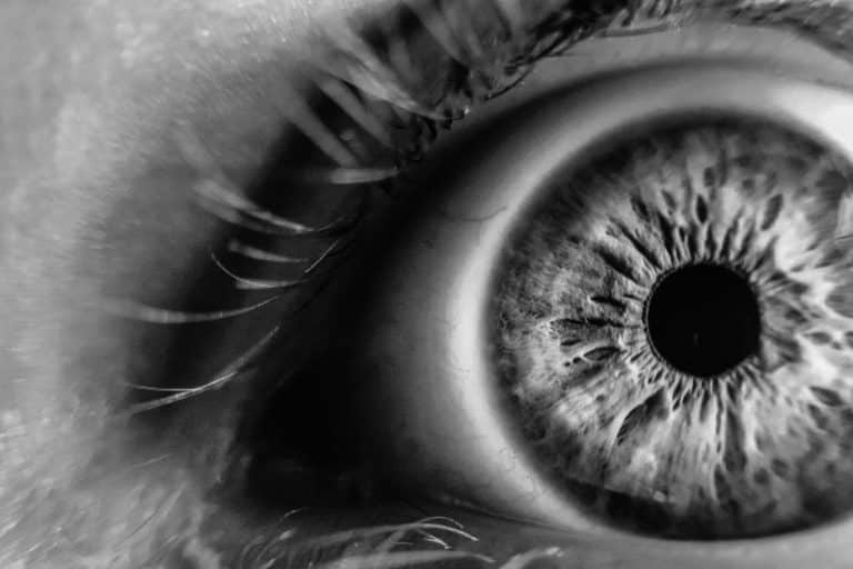 EYE 9