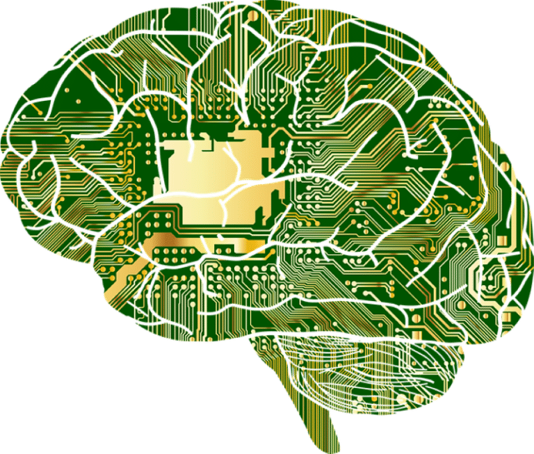 BRAIN 30