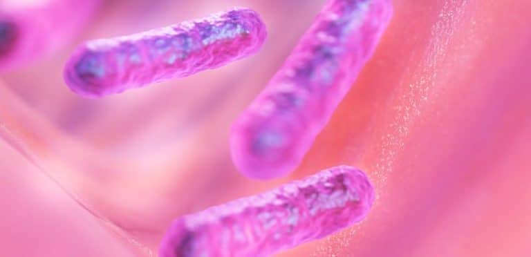 microbes