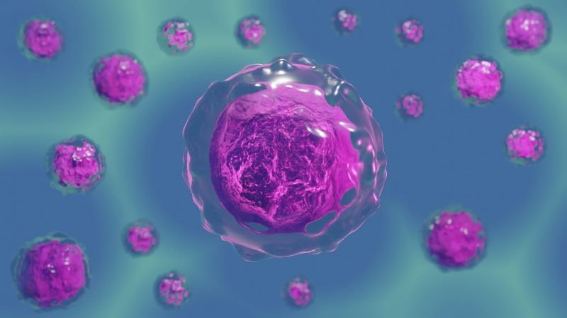 cell