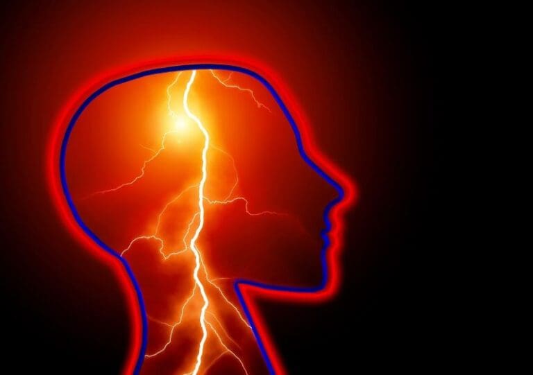 BRAIN 17