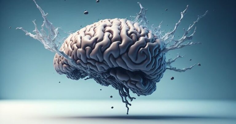 BRAIN 26