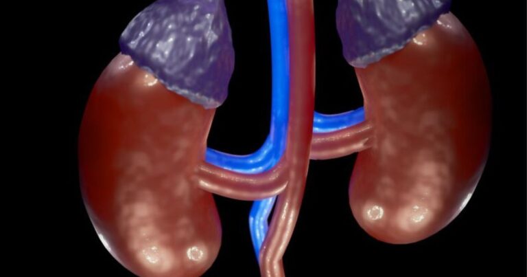 כליות לאתר מיומנו